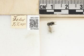 Media type: image;   Entomology 790685 Aspect: Labels